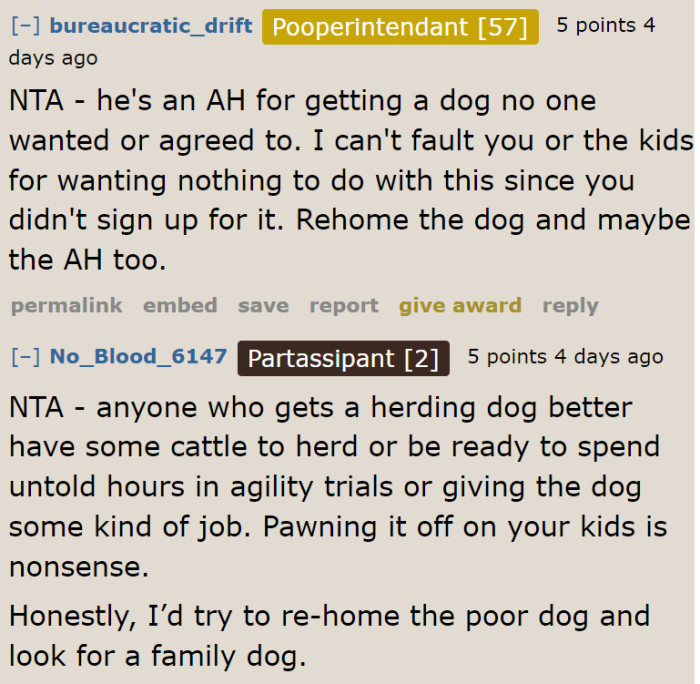 Why get a herding dog when all they needed is a family dog?