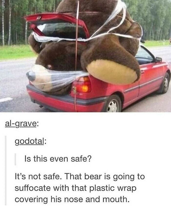 27. The bear is going to suffocate