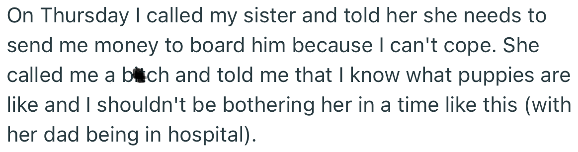OP asked her sister for some money to board the dog while she was away. But this suggestion wasn’t well received.