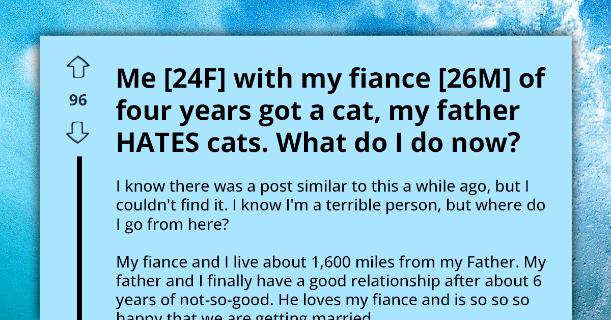 Redditor Is Trying To Find A Way To Love Her Cat Despite Father's Hate Towards Cats