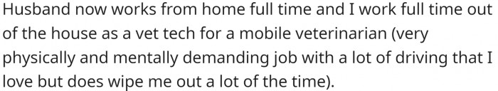 Husband works full-time from home. OP is a vet tech in a mobile vet clinic