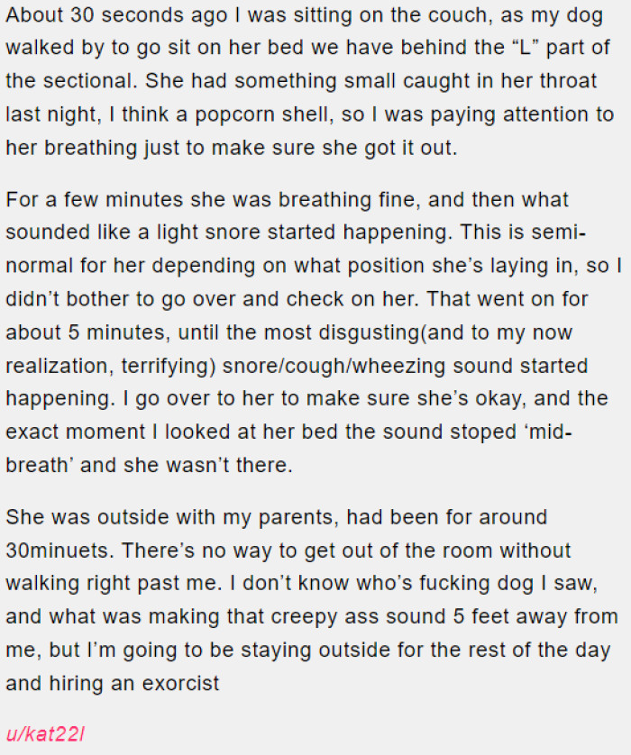 Mysterious dog and unexplained snore