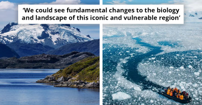 Scientists Alarmed By Images Of Antarctica Turning Green At Alarming Rate