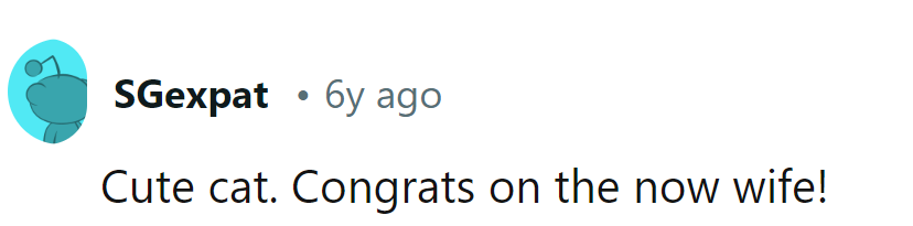 It's a 'purr-fect' match all around!