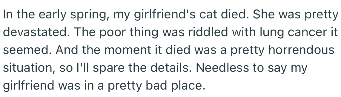 OP’s girlfriend lost her cat and that period was devastating for both of them