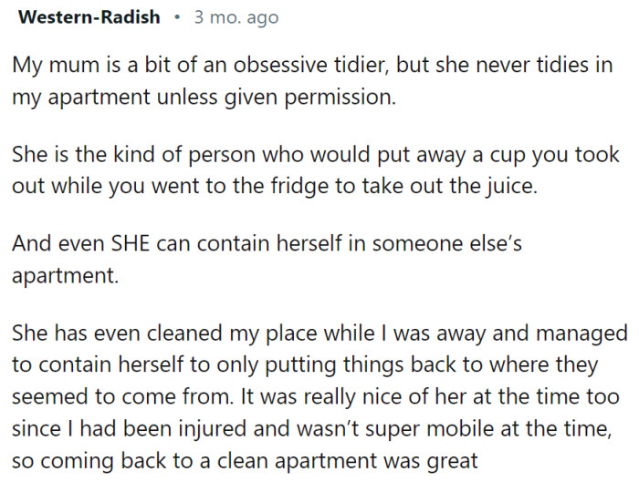 This Redditor has a mom who is an obsessive tidier, but even she has limits.