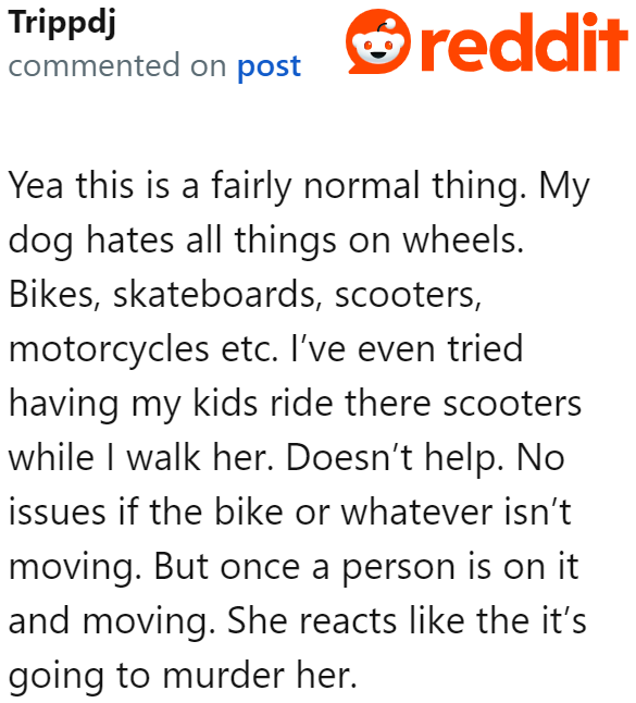 Some dogs even react as if they'll be harmed by the wheeled device.