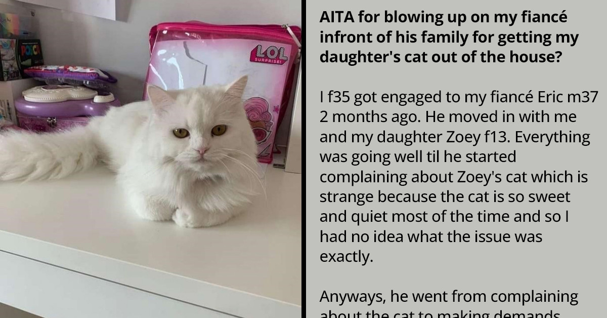 Woman Lashes Out At Her Fiance In Front Of His Family After He Locked Out Her Indoor Cat