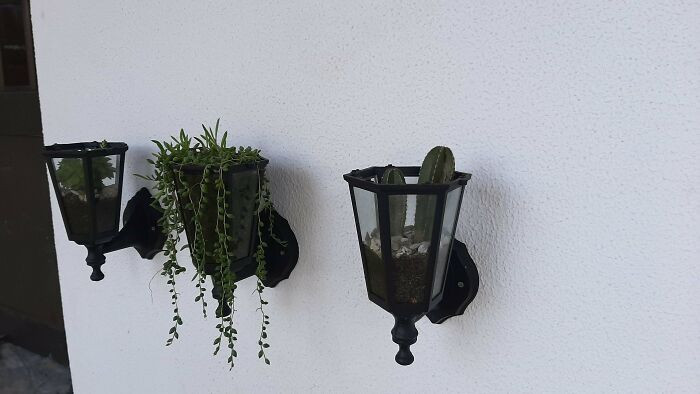 42. They upcycled some old lamps into vases for their plants