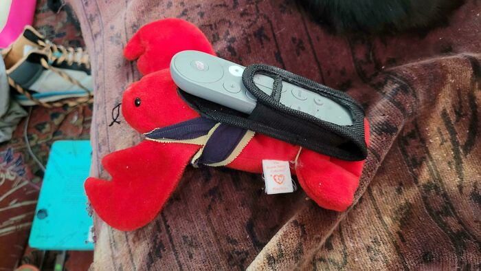 "I Made A Little Backpack For My Beanie Lobster To Try And Make It Easier For Me To Find My Remote"