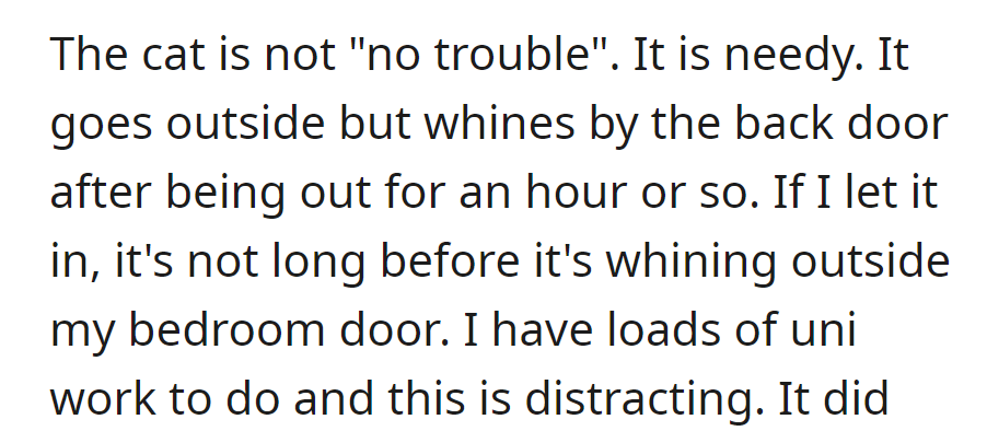 The cat Mia brought is not as trouble-free as claimed. It's needy, whining outside and disrupting OP's uni work when let in.