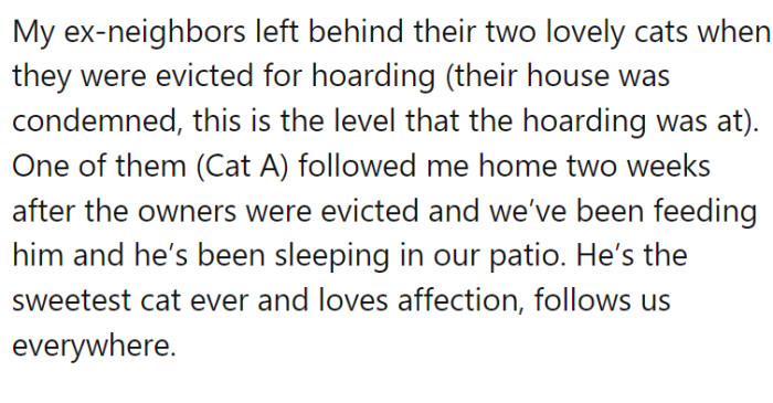 A house in their area was condemned due to extreme hoarding conditions. The occupants were evicted, but in the rush and chaos, two cats were left behind.