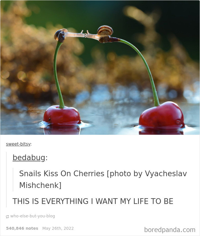 33. Have you ever seen snails kissing?