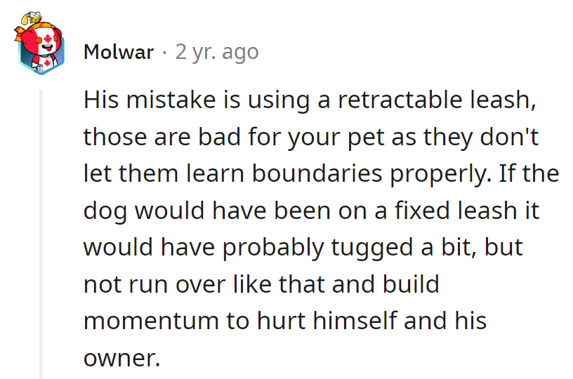 Looks like his leash choice unleashed a series of unfortunate events!