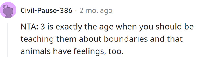 The child is old enough to learn how to take care of animals