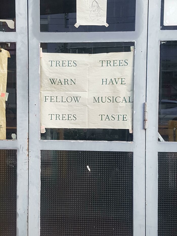 49. Trees Warn Fellow Musical Trees Taste