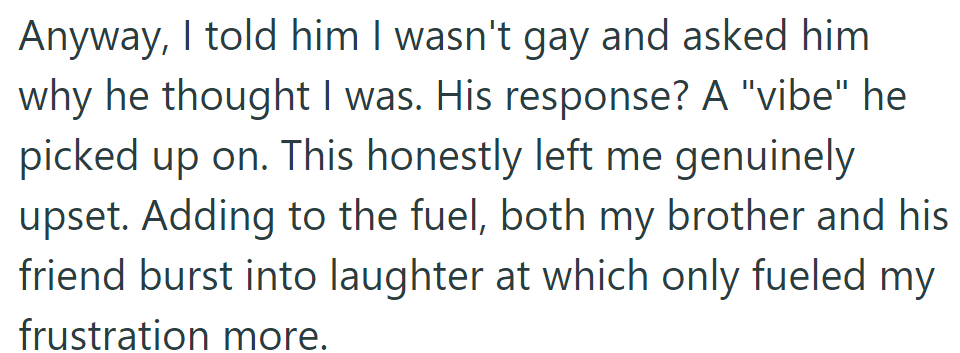 OP Denied Being Gay; Friend Cited Vague 'Vibe'; Brother and Friend's Laughter Fueled Frustration.