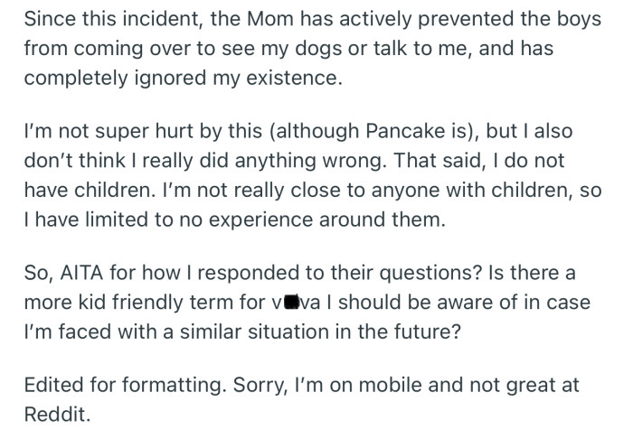 Since the incident, the Mom has stopped her boys from coming around OP and her dog