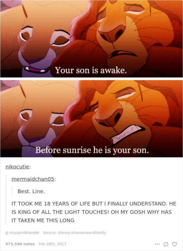 48. King of all the light touches