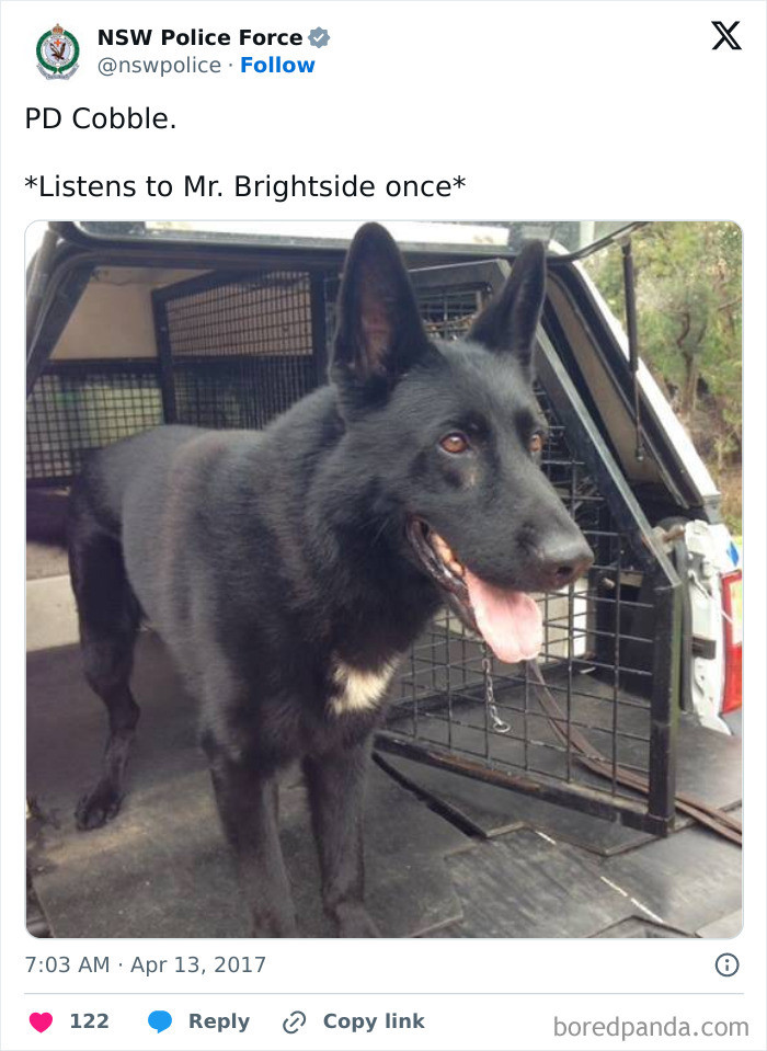 "When They Made This A+ "Mr Brightside" Joke"