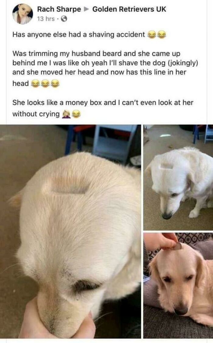 37. Blessed Money Box