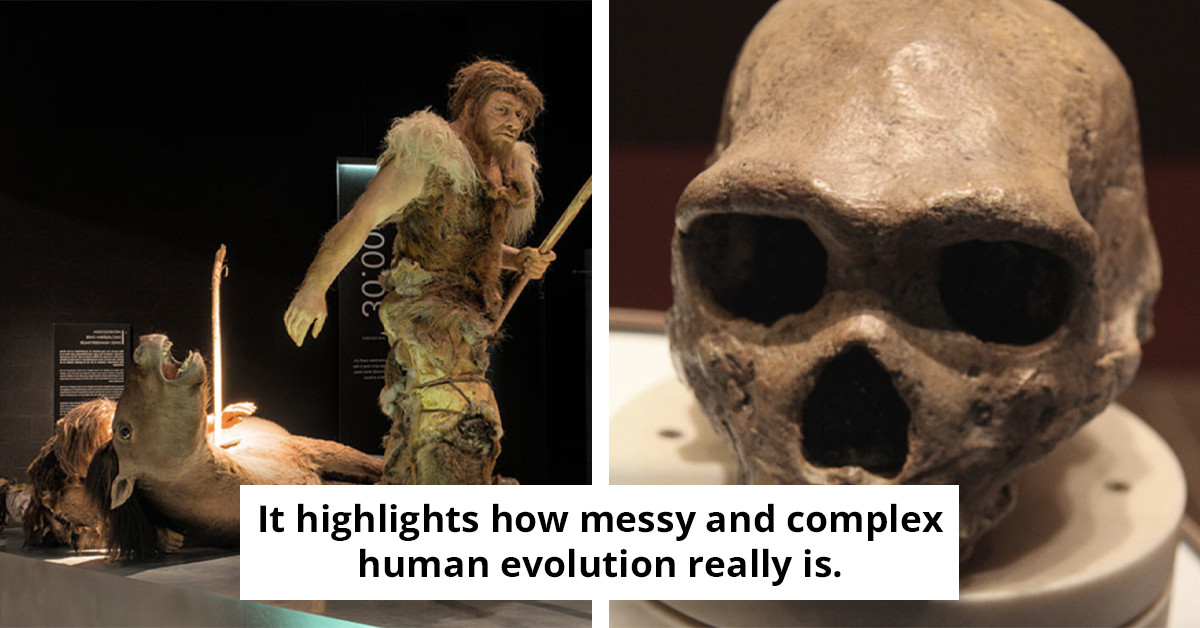 The Petralona Man Skull Has Baffled Experts for Decades But a New Study Just Cracked the Case