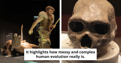 The Petralona Man Skull Has Baffled Experts for Decades But a New Study Just Cracked the Case