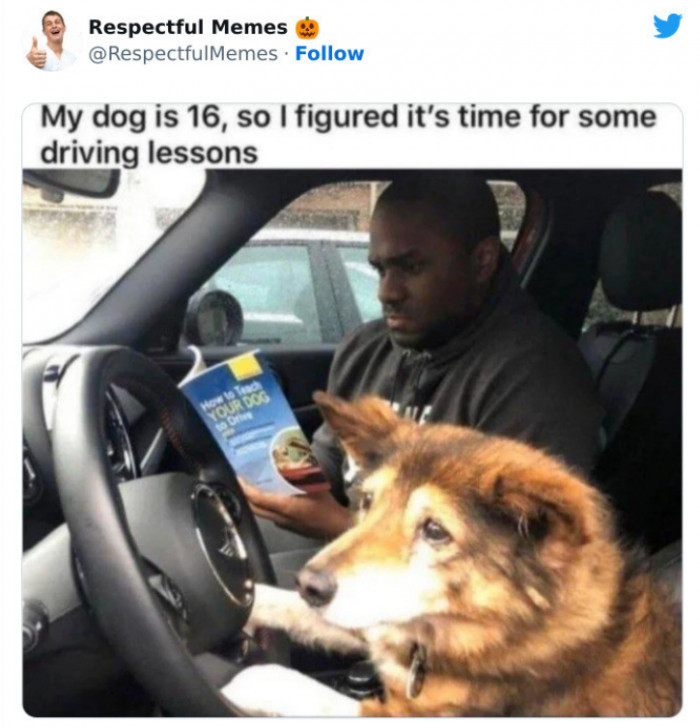 22. Such Concern on the Doggo's Face