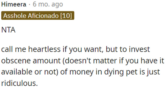 Investing a huge sum in a dying pet, regardless of affordability, seems absurd.