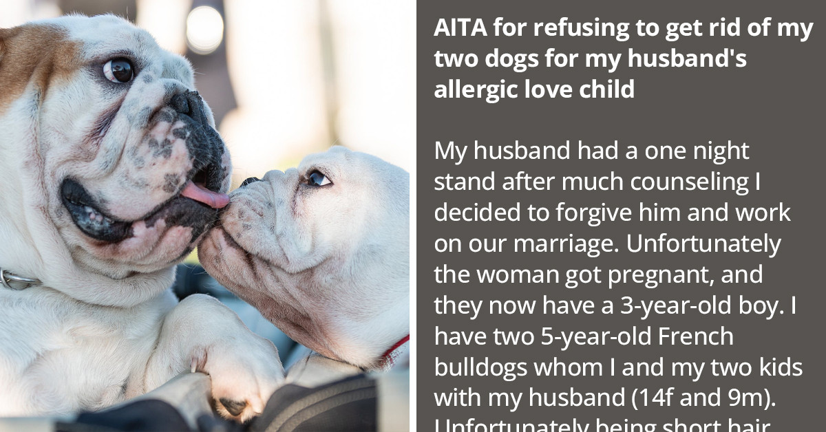 Woman Refuses To Get Rid Of Her Dogs Despite Her Husband’s Love Child Being Allergic