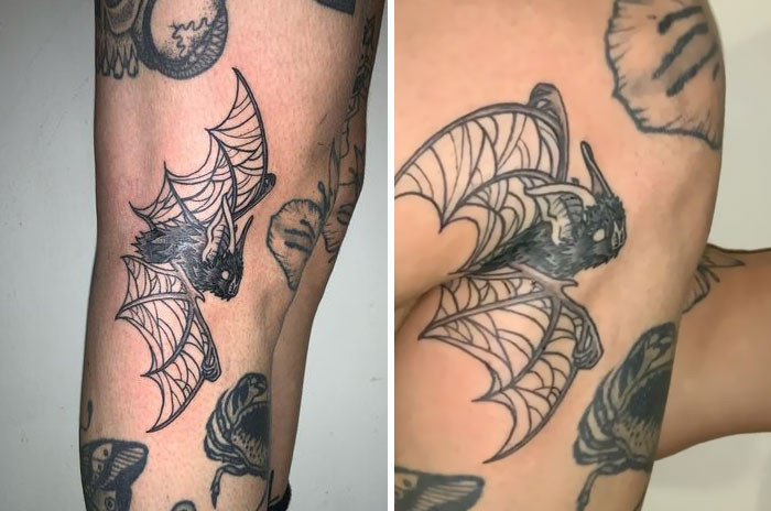 2. A Flying Bat On Your Skin