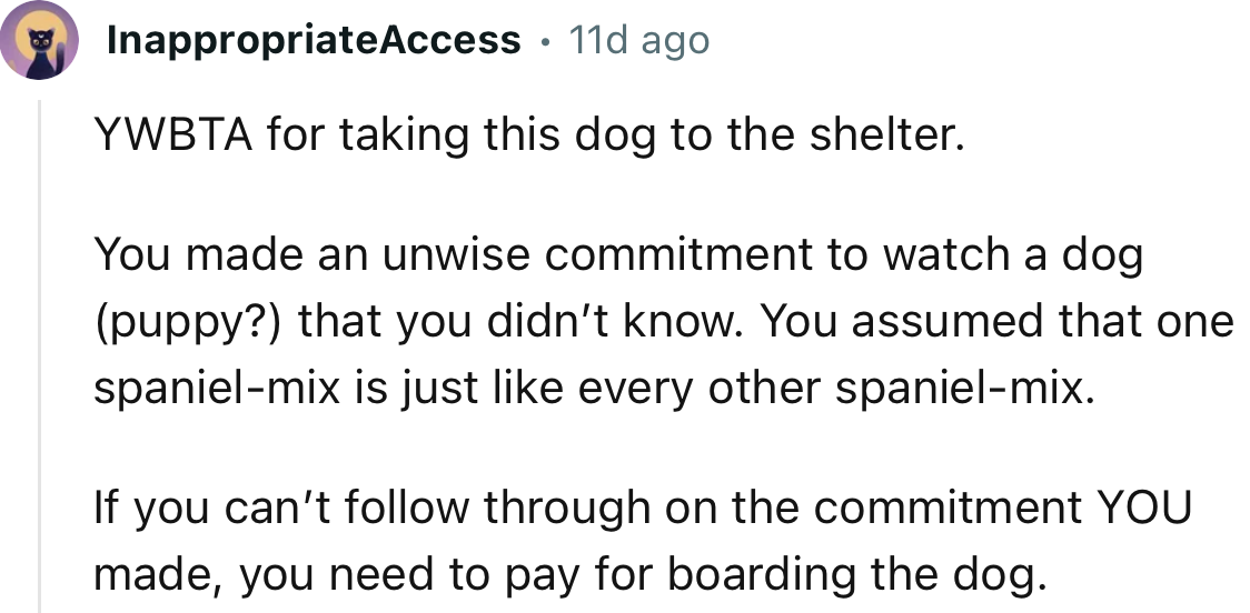 “You made an unwise commitment to watch a dog (puppy?) that you didn’t know.”
