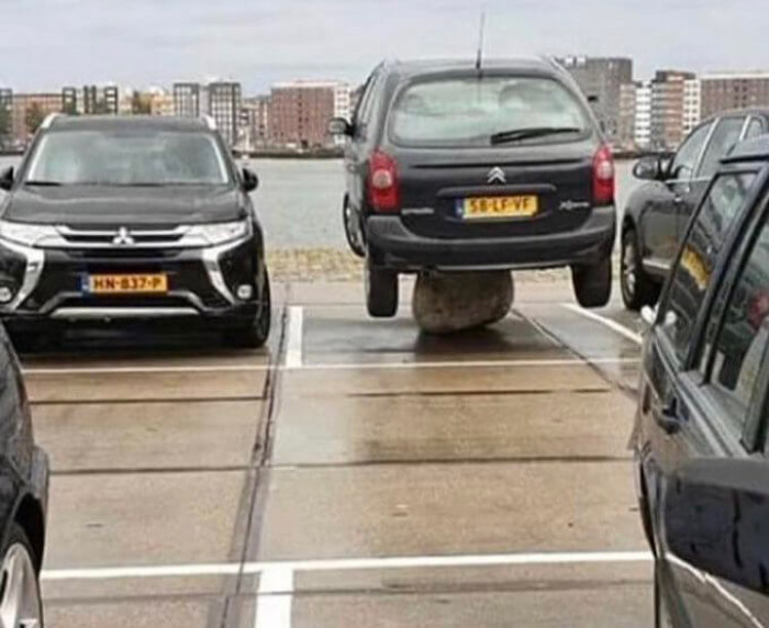 2. Is this car trying to hatch its egg?