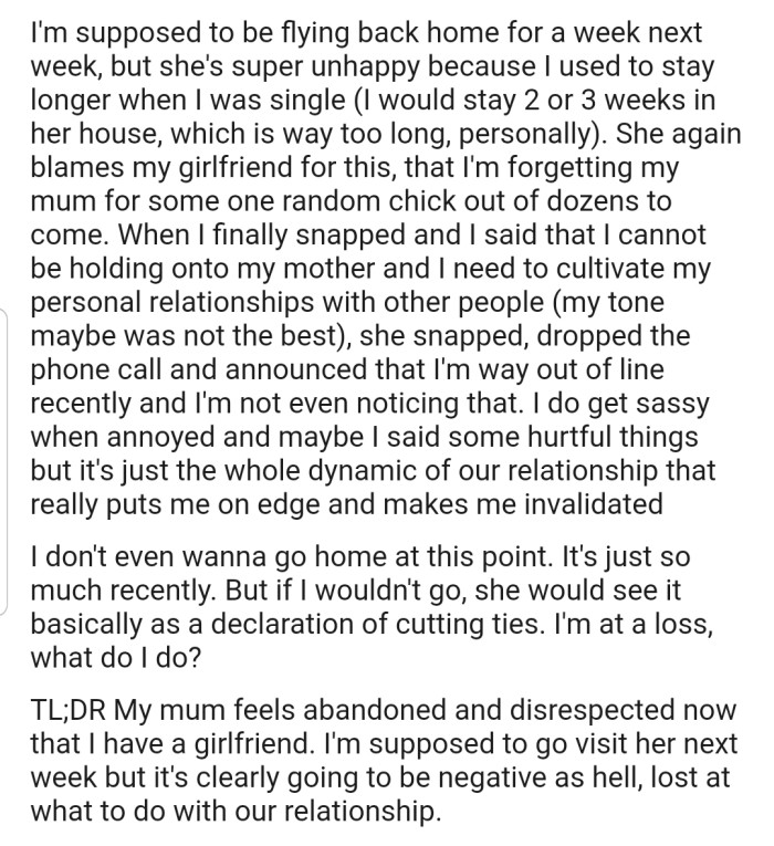 OP's mom has been making some unfriendly comments about his girlfriend, which made him snap and respond to his mom in a stern tone. Now, he has decided to bring the matter to the Reddit court for judgment.