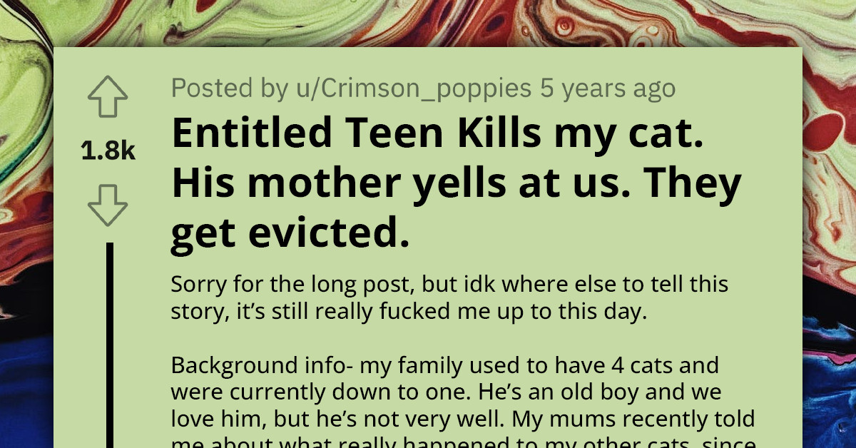 Redditor Shares Story Of Teenage Neighbor Torturing And Killing Their Cat, And Their Entitled Mom Downplaying The Whole Thing