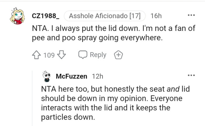 Putting the lid down is important