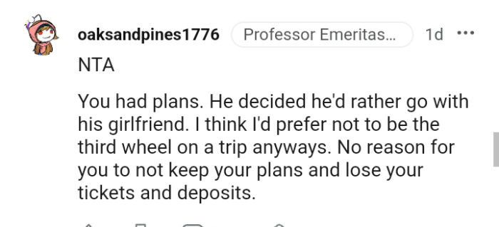 This Redditor prefers not to be the third wheel on a trip