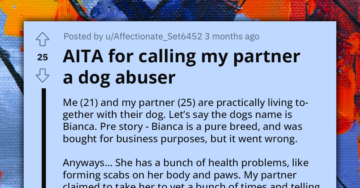 Redditor Calls Partner A 'Dog Abuser' After Removing Its Cone For Prolonged Periods Of Time, Causing The Dog To Pick On Its Wounds Again And Again