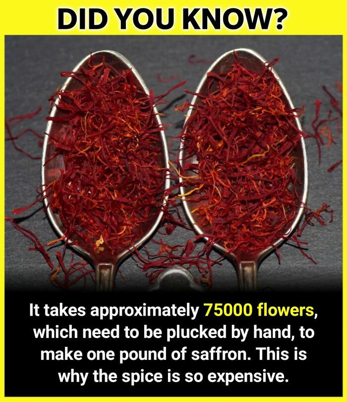 9. So much hard work, but the spice is unbelievable.