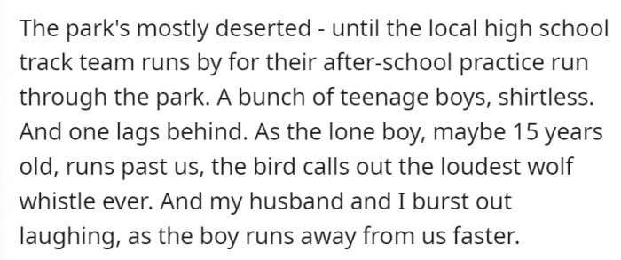 Not many people were around, just the local high school track team. One of the shirtless teenage boys was lagging behind—he became the victim of the bird’s loudest wolf whistle ever.