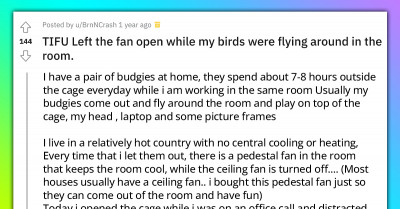 Redditor Freaks Out After Accidentally Leaving The Fan Open While Their Birds Were Flying Around In The Room