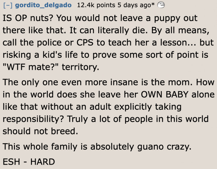 This user believes that the mom (OP's sister) doesn't deserve to have a child.