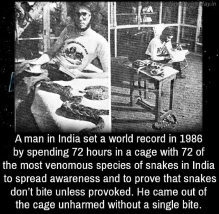 "A Man Spends 72 Hours In A Cage With The Most Venomous Species Of Snakes"