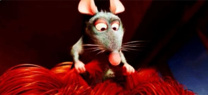 18. Rats are not always bad for your home.