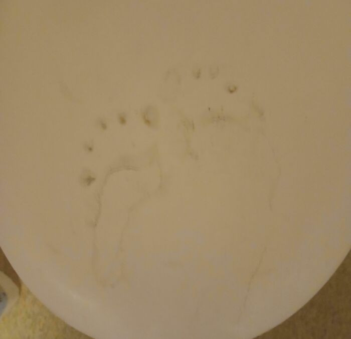 'Noticed These Faint Differently Sized And Aligned Footprints On My Toilet Seat, I Live Alone'