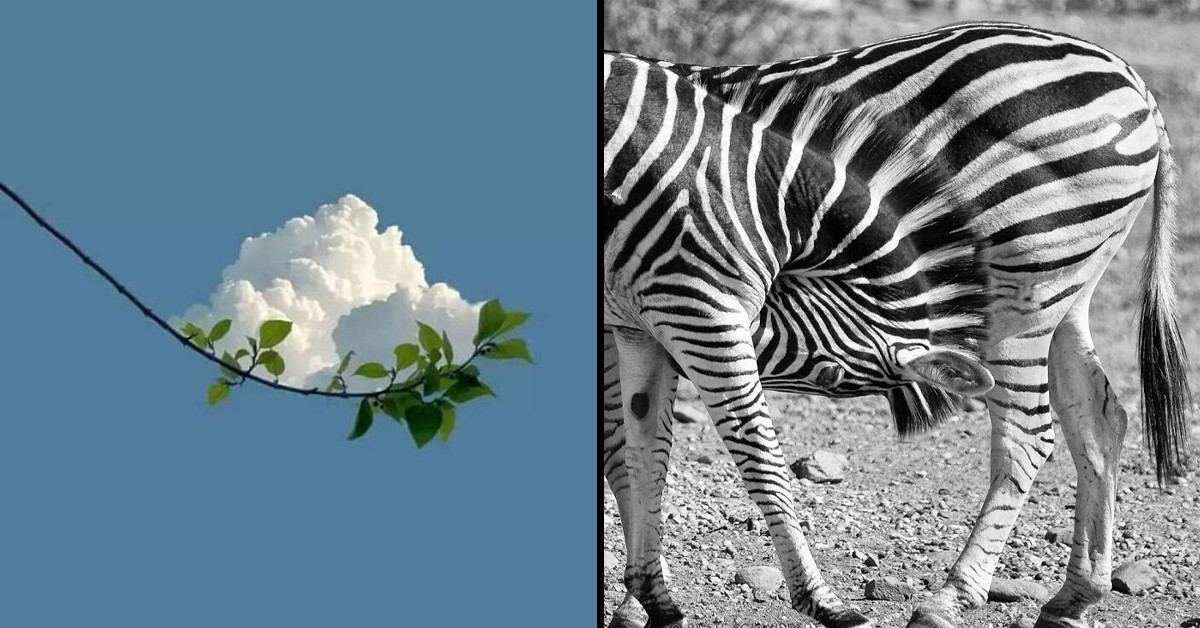 20 Perfect And Oddly Satisfying Images People Shared Online