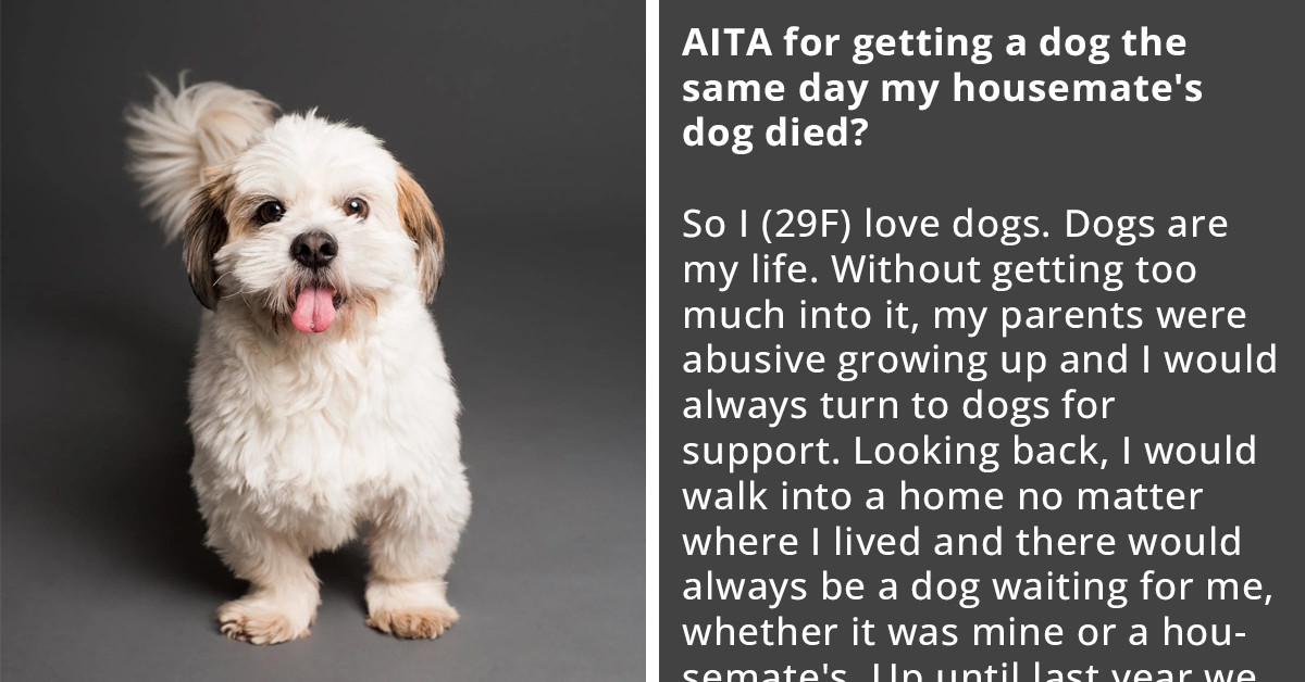 Reddit User Adopts A Dog On The Same Day Her Housemate's Dog Died