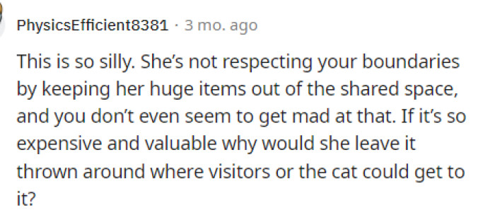 This is something I was wondering too because if it's so expensive and she doesn't want anyone to touch it, then she should keep it in her room or out of the way.