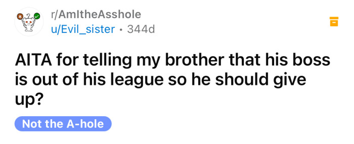 The OP asked if she's an a**hole for telling her brother that his boss is out of his league.