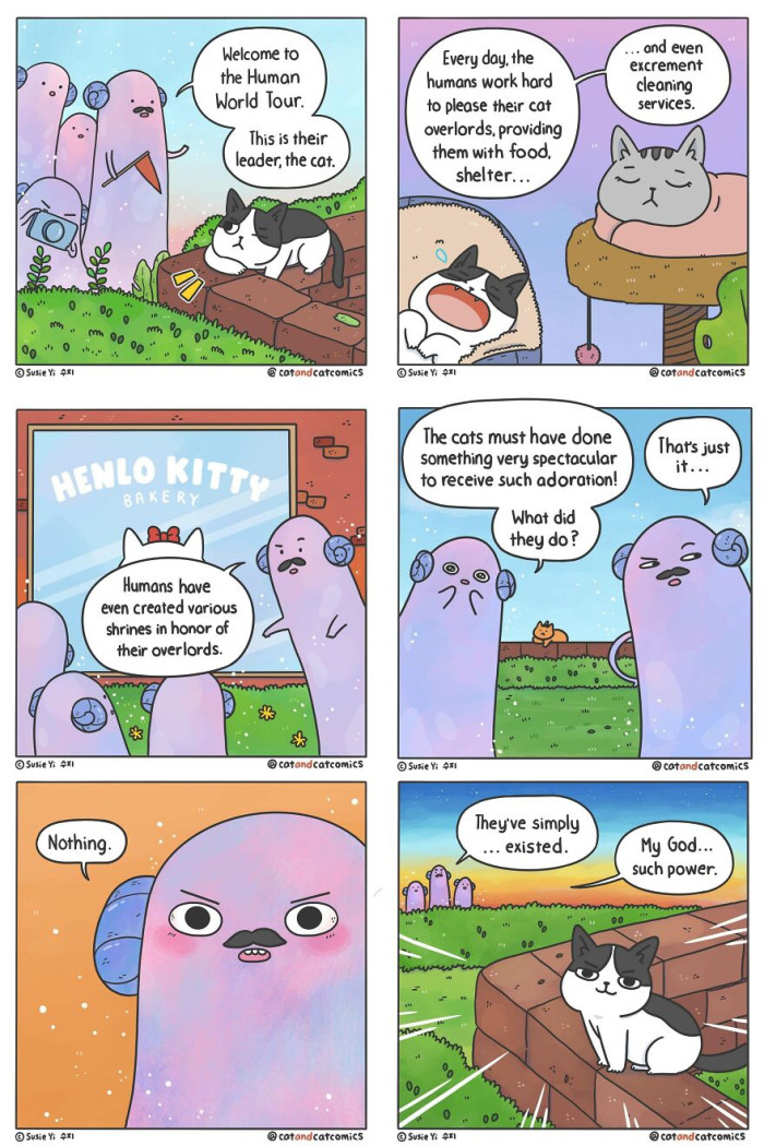 3. The human world tour